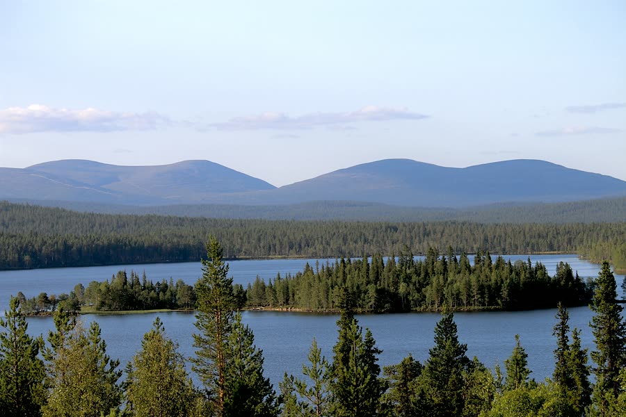 A still lake among pine forests and fells in Lapland